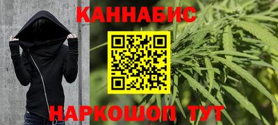 шишки Обь