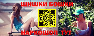шишки Обь