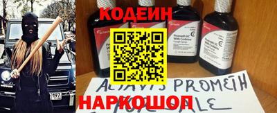шишки Обь