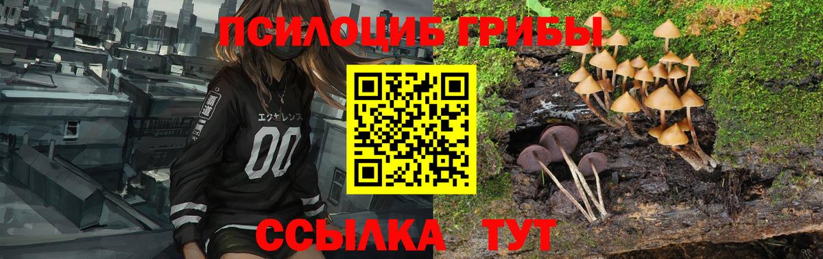 Серпухов  Псилоцибиновые грибы MAGIC MUSHROOMS  Вход с VPN 